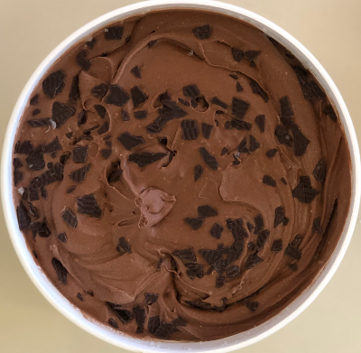 Chocolate Chocolate Chip Homemade Ice Cream